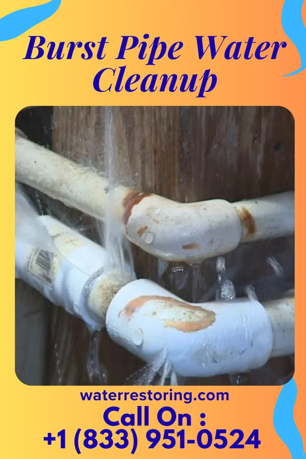 Burst Pipe Water Cleanup in Dana, IA