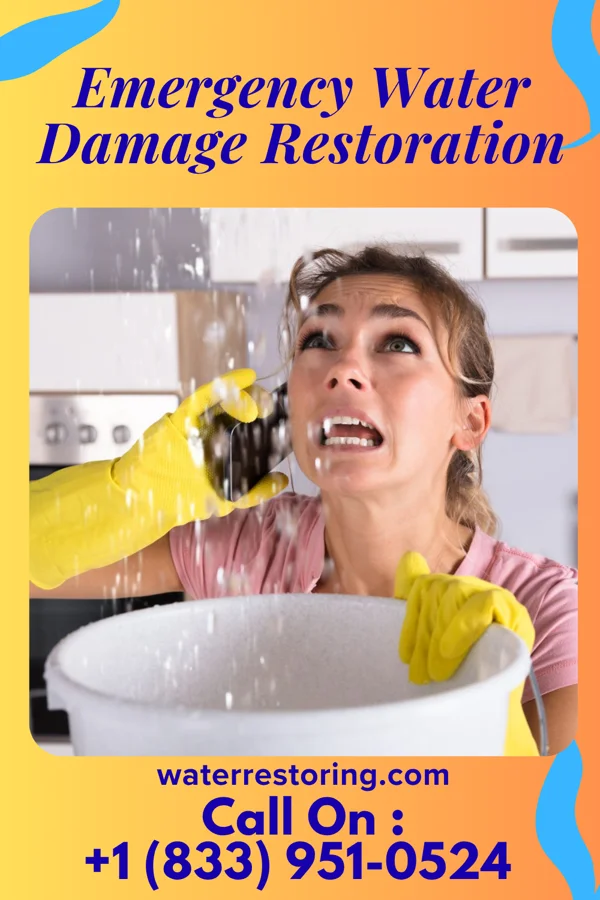 Emergency Water Damage Restoration in Dana, IA