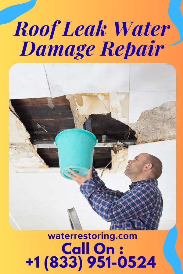 Roof Leak Water Damage Repair in Dana, IA