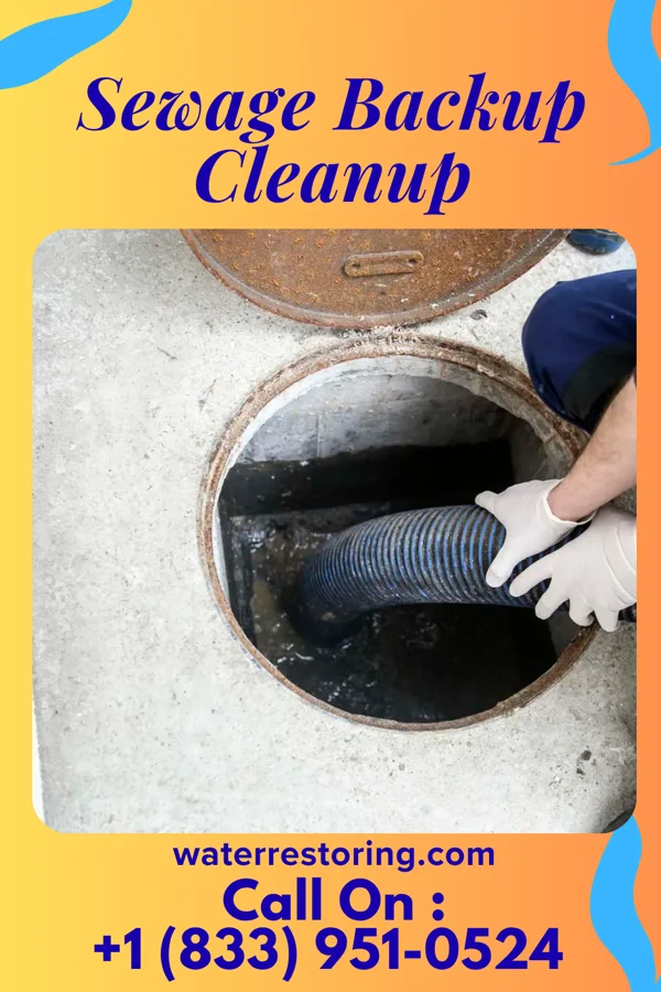 Sewage Backup Cleanup in Dana, IA